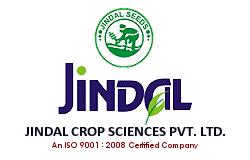 JINDAL SEEDS