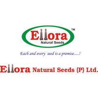 Ellora Natural Seeds