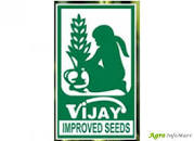 VIJAY SEEDS