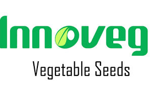 INNOVEG SEEDS